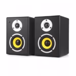 Kacoustic K44 - Monitores De Referencia De Estudio 30Watts 4 Pulgadas