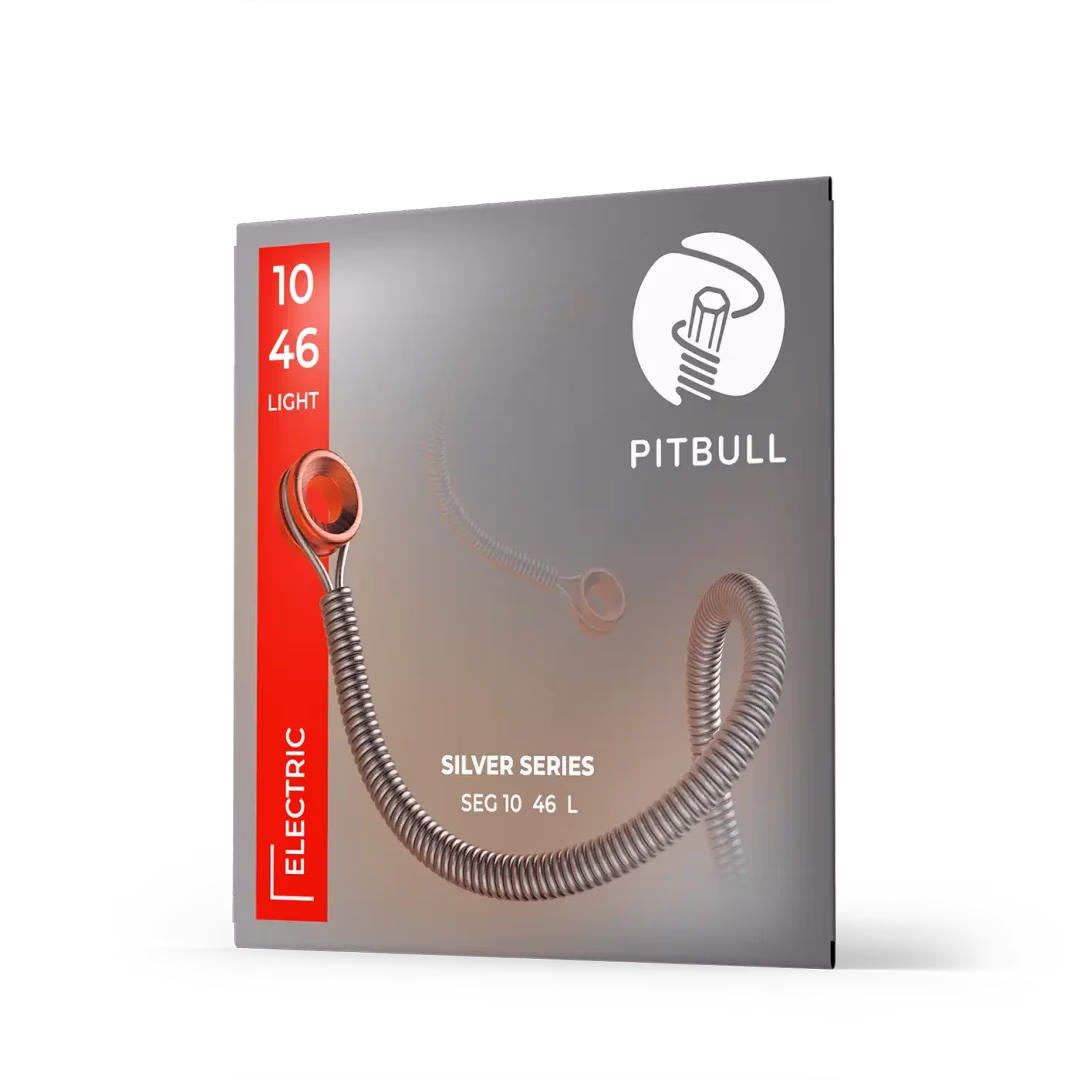 74888729862292.avif Pitbull - SEG 10-46L - Set Cuerdas Guitarra Eléctrica Silver Series 10-46 - Imagen 1
