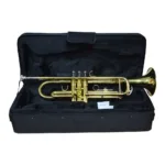 Trompeta Etinger TRO-82 Bb Dorada con Estuche - Imagen 4