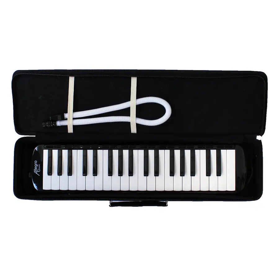 68417414897132-2 Melódica Allegro ALL37BK-D 37 Notas Negra con Estuche Semirrígido - Imagen 1